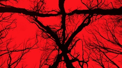 Blair Witch Blair Witch